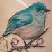 Tattoos - Blue Bird and Orchids Detail In progress - 62890